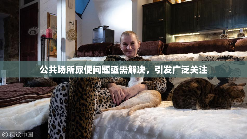 公共场所尿便问题亟需解决，引发广泛关注