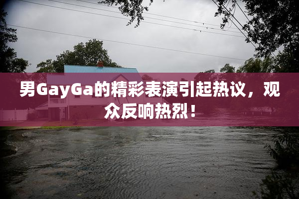 男GayGa的精彩表演引起热议，观众反响热烈！