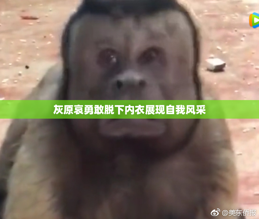 灰原哀勇敢脱下内衣展现自我风采