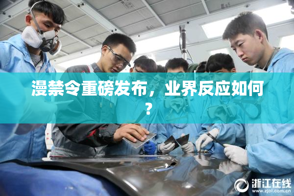 漫禁令重磅发布，业界反应如何？