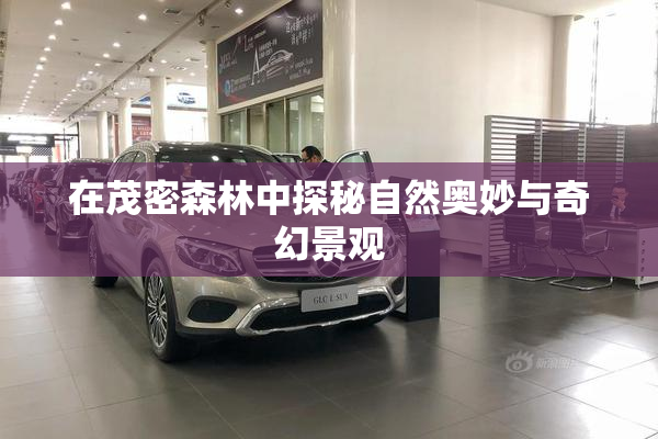 在茂密森林中探秘自然奥妙与奇幻景观