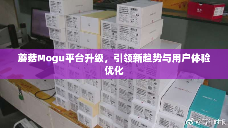 蘑菇Mogu平台升级，引领新趋势与用户体验优化