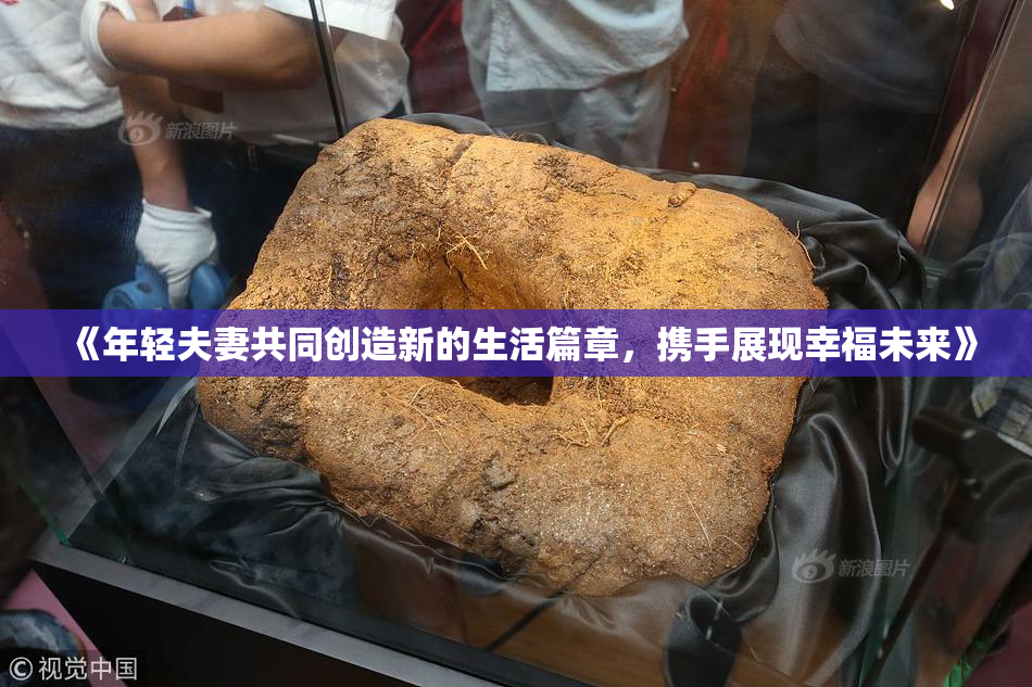 《年轻夫妻共同创造新的生活篇章，携手展现幸福未来》