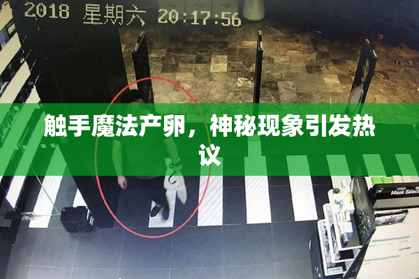 触手魔法产卵，神秘现象引发热议