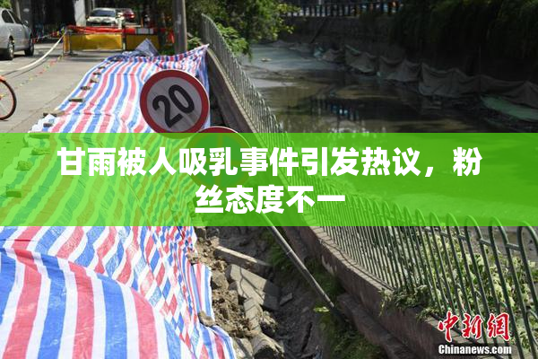 甘雨被人吸乳事件引发热议，粉丝态度不一