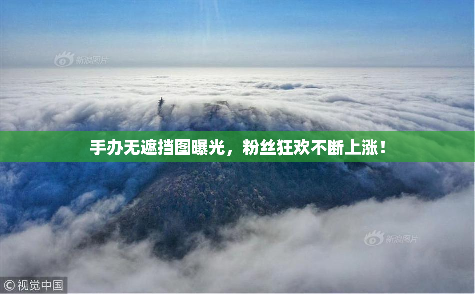 手办无遮挡图曝光，粉丝狂欢不断上涨！