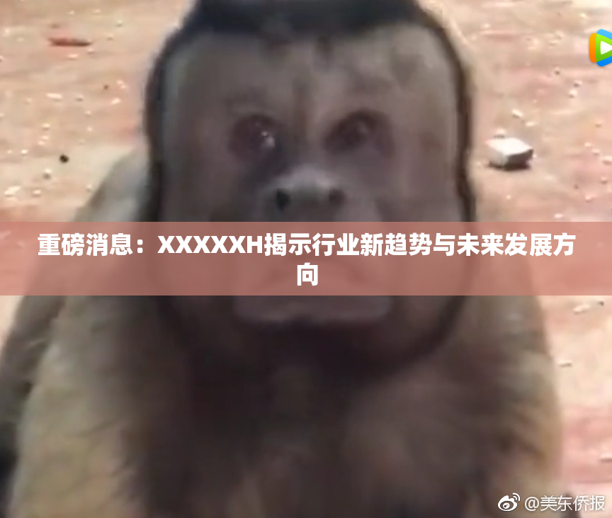重磅消息：XXXXXH揭示行业新趋势与未来发展方向