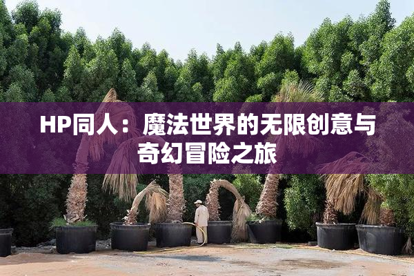 HP同人：魔法世界的无限创意与奇幻冒险之旅