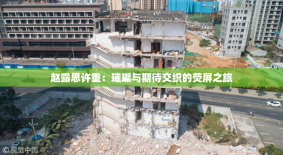 赵露思许重：璀璨与期待交织的荧屏之旅