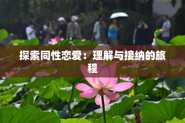 探索同性恋爱：理解与接纳的旅程