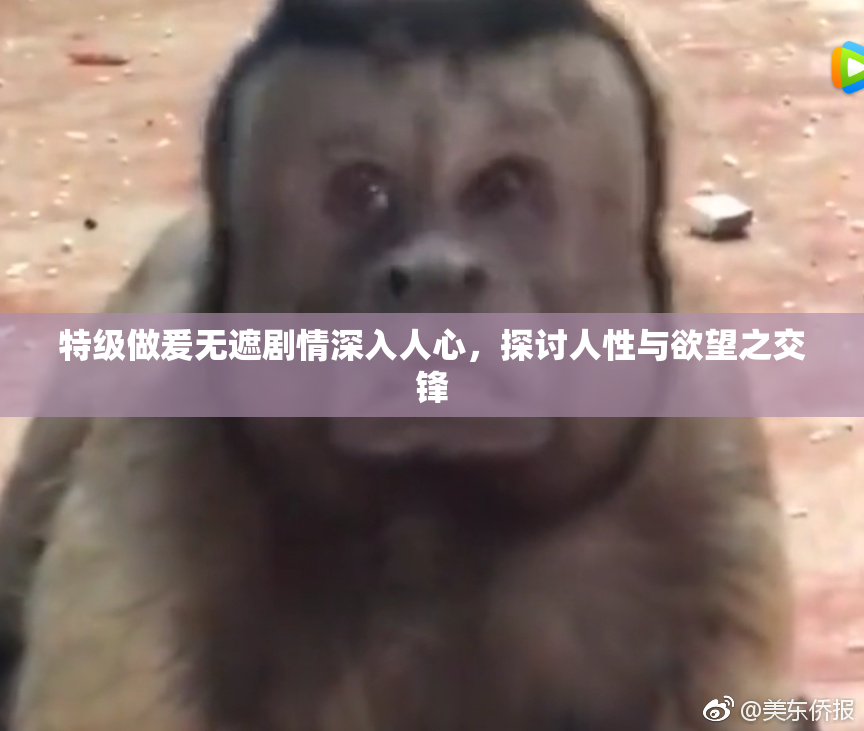 特级做爰无遮剧情深入人心，探讨人性与欲望之交锋