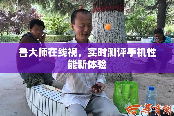 鲁大师在线视，实时测评手机性能新体验
