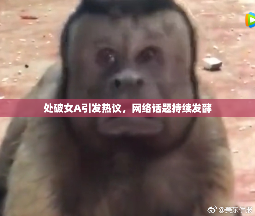 处破女A引发热议，网络话题持续发酵