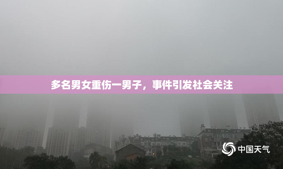 多名男女重伤一男子，事件引发社会关注