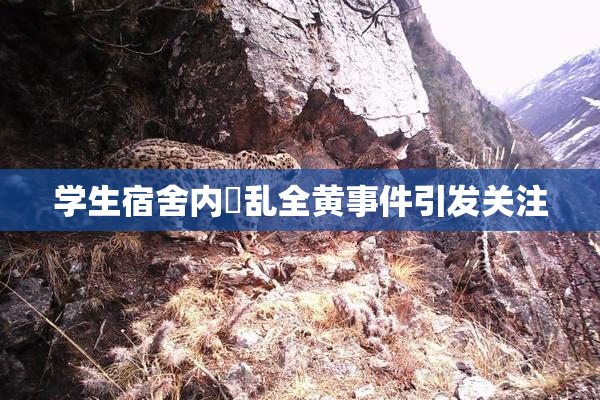 学生宿舍内婬乱全黄事件引发关注