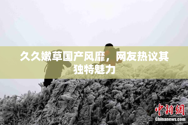 久久嫩草国产风靡，网友热议其独特魅力