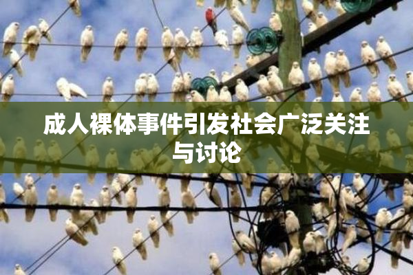 成人裸体事件引发社会广泛关注与讨论