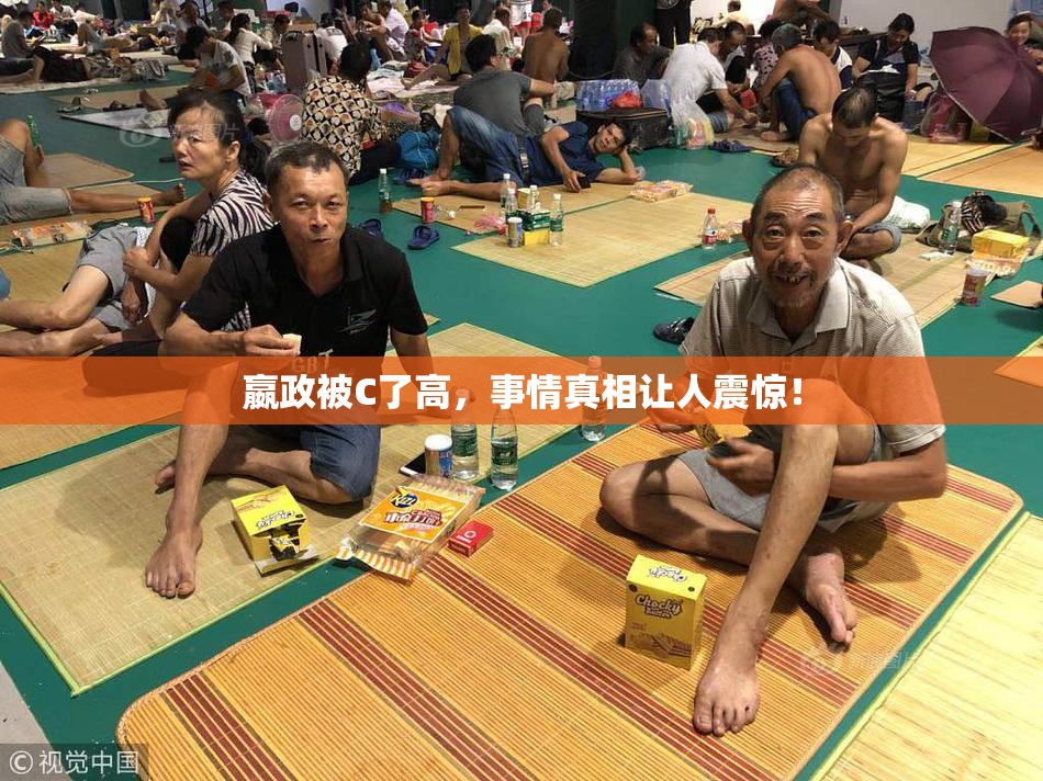嬴政被C了高，事情真相让人震惊！