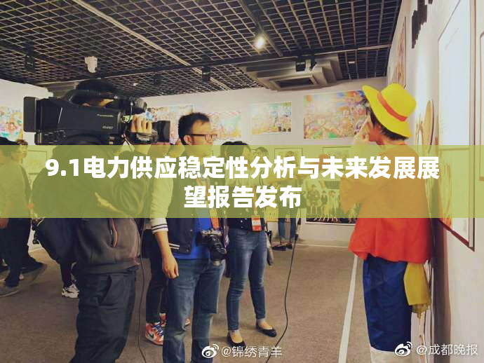 9.1电力供应稳定性分析与未来发展展望报告发布