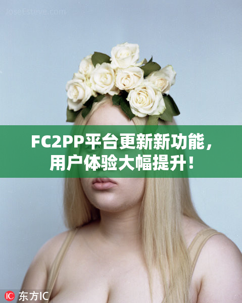 FC2PP平台更新新功能，用户体验大幅提升！