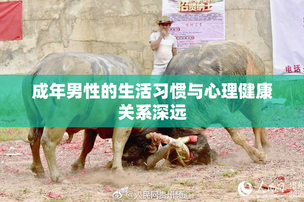 成年男性的生活习惯与心理健康关系深远