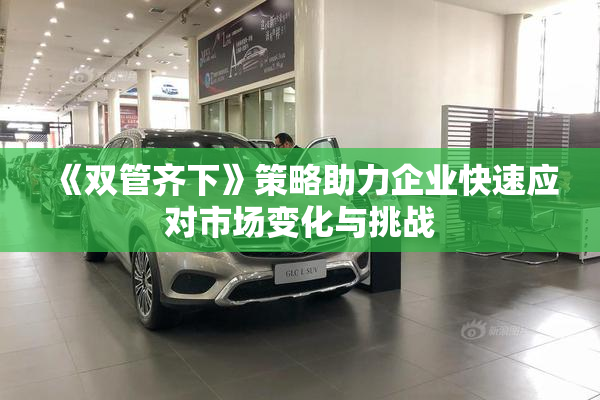 《双管齐下》策略助力企业快速应对市场变化与挑战