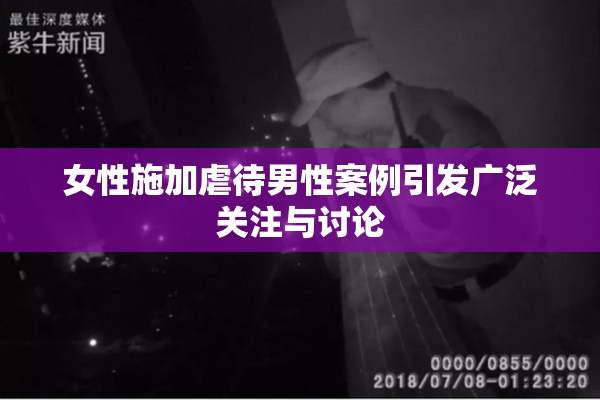 女性施加虐待男性案例引发广泛关注与讨论