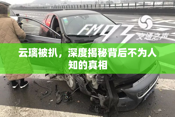 云璃被扒，深度揭秘背后不为人知的真相