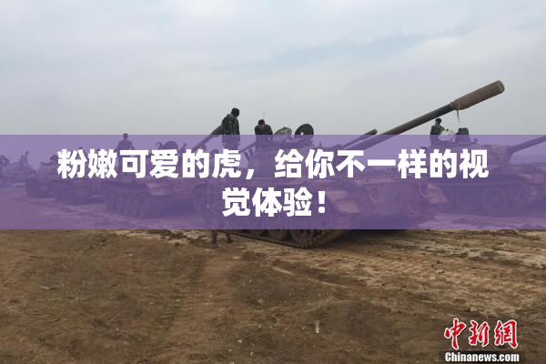 粉嫩可爱的虎，给你不一样的视觉体验！