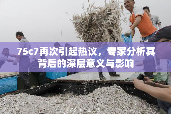 75c7再次引起热议，专家分析其背后的深层意义与影响