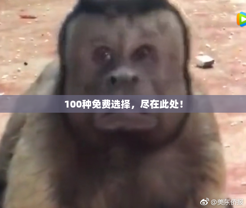 100种免费选择，尽在此处！