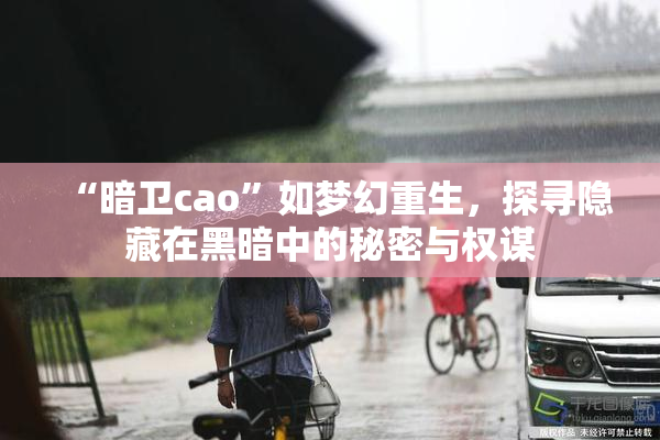 “暗卫cao”如梦幻重生，探寻隐藏在黑暗中的秘密与权谋
