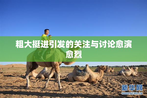 粗大挺进引发的关注与讨论愈演愈烈