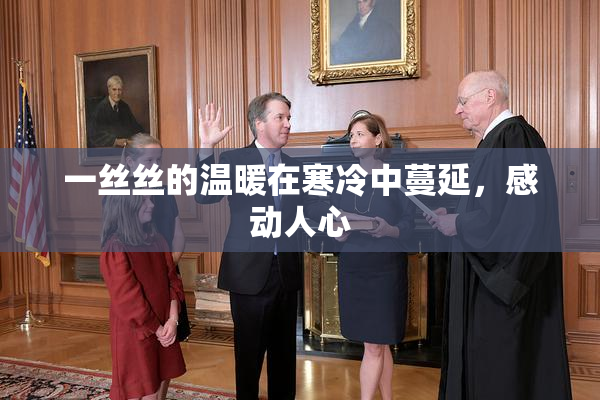 一丝丝的温暖在寒冷中蔓延，感动人心
