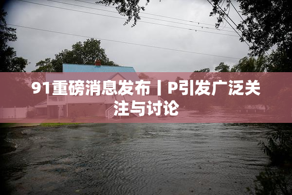 91重磅消息发布丨P引发广泛关注与讨论