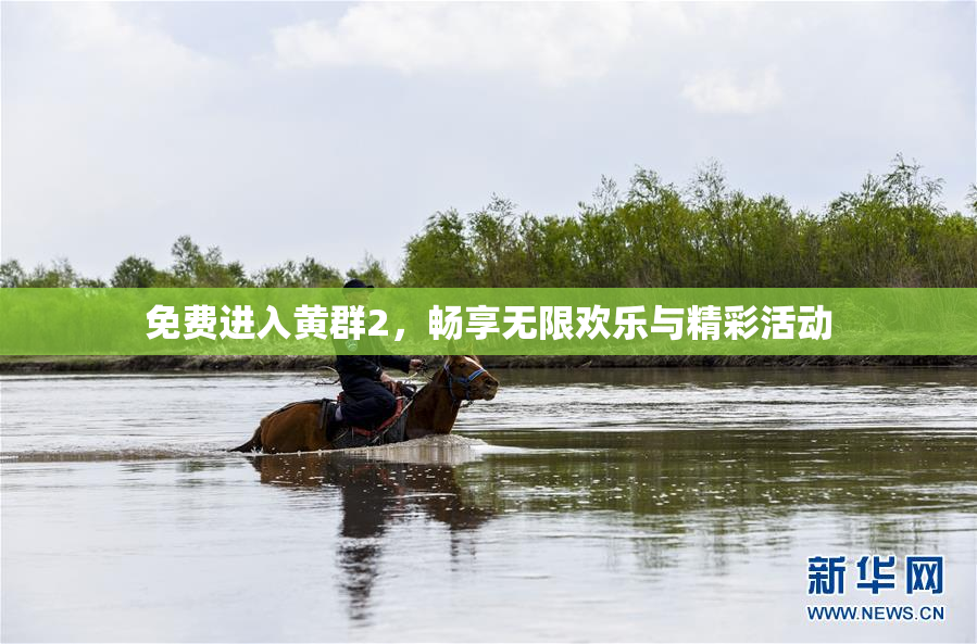 免费进入黄群2，畅享无限欢乐与精彩活动
