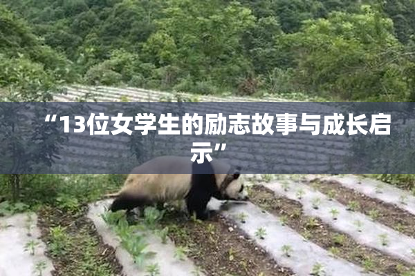 “13位女学生的励志故事与成长启示”