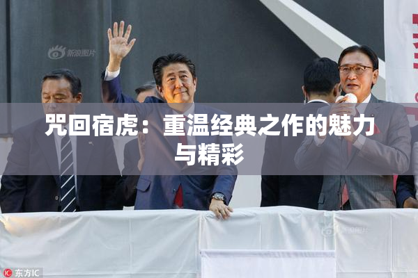 咒回宿虎：重温经典之作的魅力与精彩
