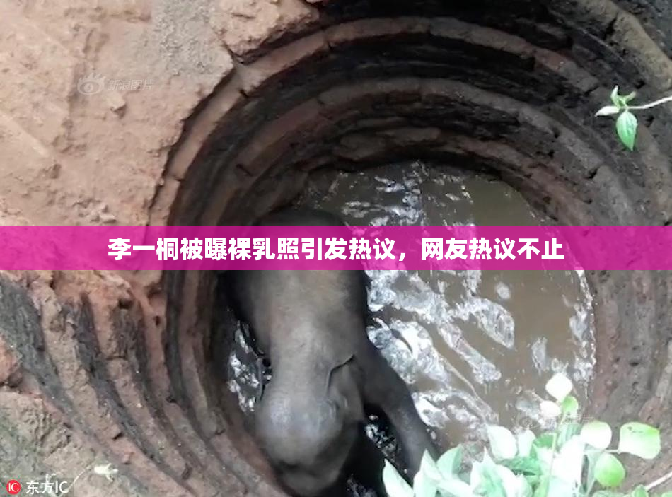李一桐被曝裸乳照引发热议，网友热议不止