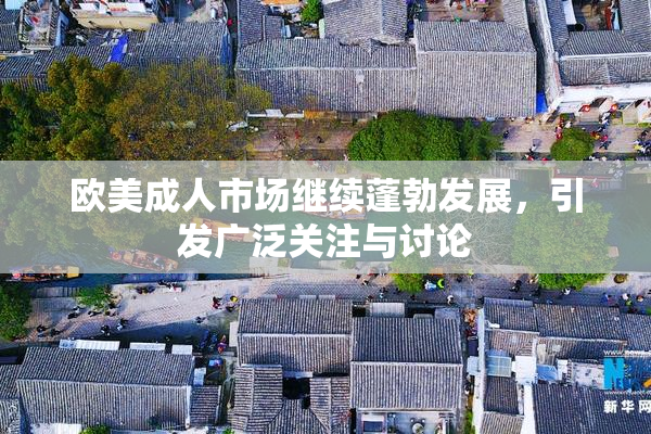 欧美成人市场继续蓬勃发展，引发广泛关注与讨论
