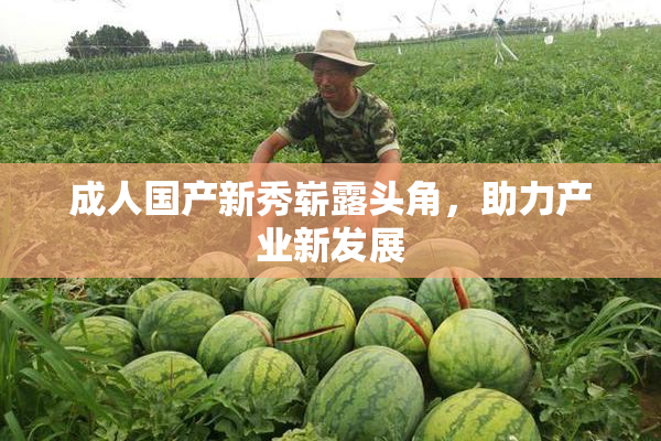 成人国产新秀崭露头角，助力产业新发展