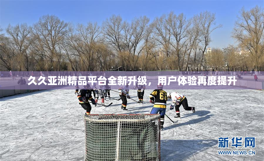 久久亚洲精品平台全新升级，用户体验再度提升