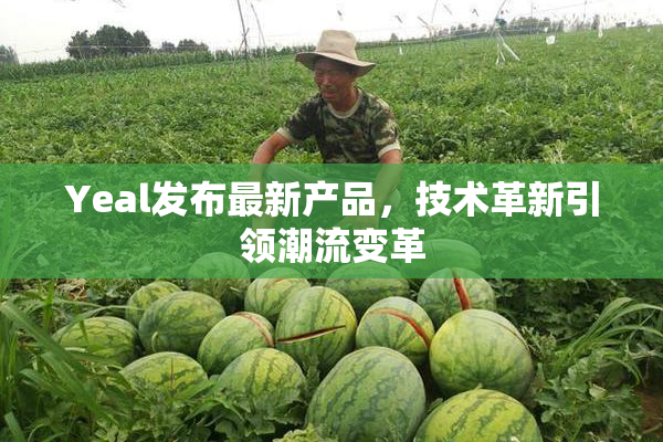 Yeal发布最新产品，技术革新引领潮流变革