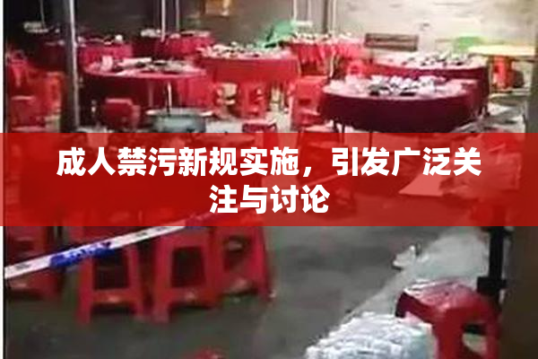 成人禁污新规实施，引发广泛关注与讨论