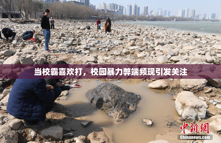 当校霸喜欢打，校园暴力弊端频现引发关注