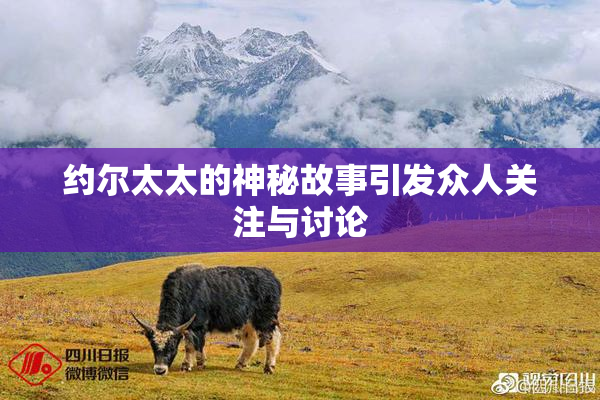 约尔太太的神秘故事引发众人关注与讨论