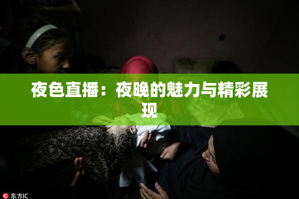 夜色直播：夜晚的魅力与精彩展现