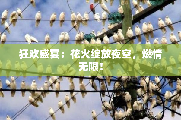 狂欢盛宴：花火绽放夜空，燃情无限！