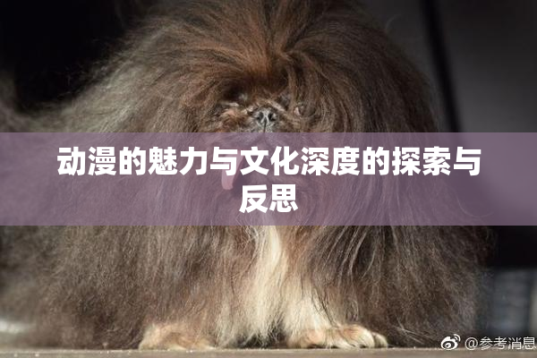 动漫的魅力与文化深度的探索与反思