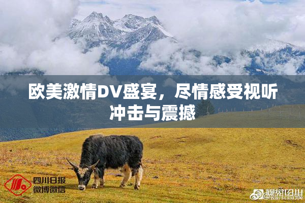 欧美激情DV盛宴，尽情感受视听冲击与震撼